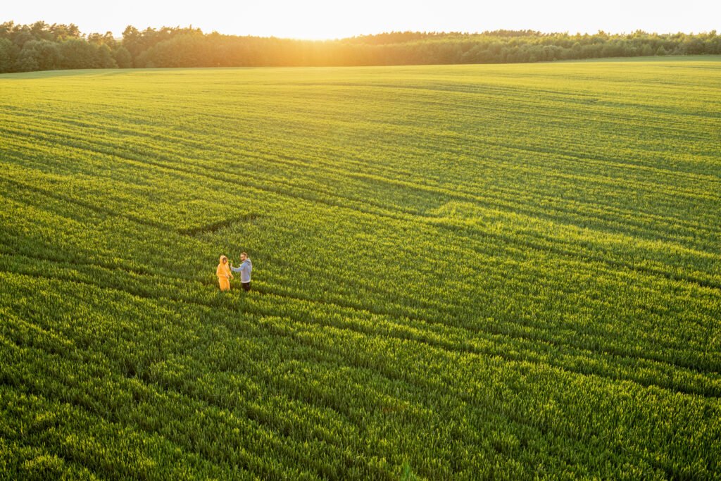 Aerial view on green wheat field with couple walking on pathway
